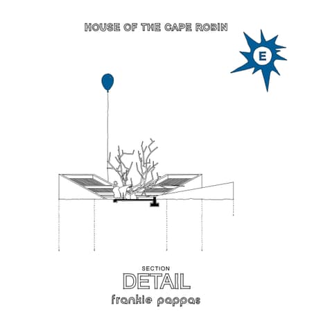 House of the Cape Robin